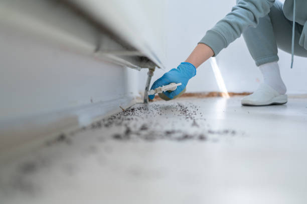 Bird Control in East Pasadena, CA